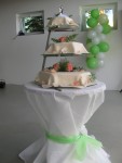 SVATEBNÍ PARTY 2015